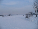 Wigilijne 2007