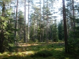 Hubert 2008